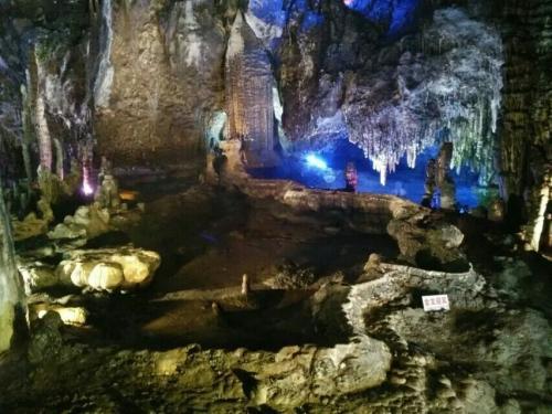甘肃推动高校生物医药领域专利开放许可
